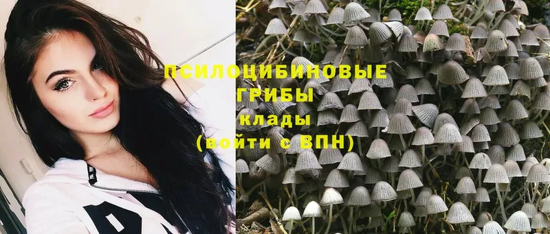 Псилоцибиновые грибы Magic Shrooms  blacksprut сайт  Верея  хочу  